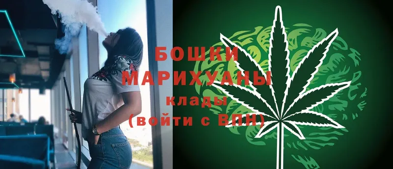 Шишки марихуана тримм  как найти наркотики  Ноябрьск 